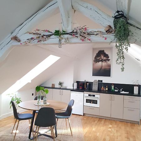Quietude Au Bord De Loire. Apartman Orléans Kültér fotó