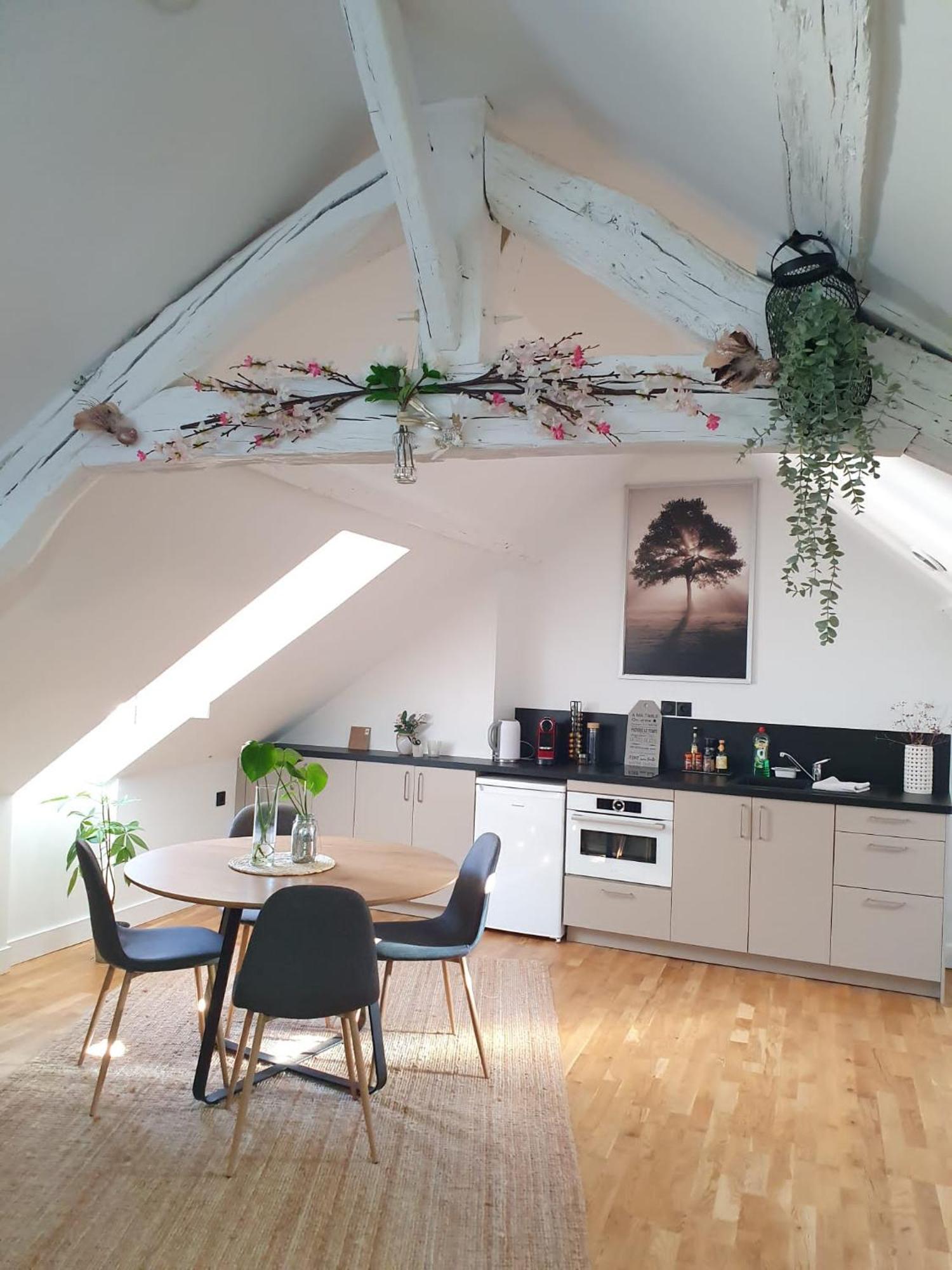 Quietude Au Bord De Loire. Apartman Orléans Kültér fotó